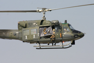 Italian Tiger Huey