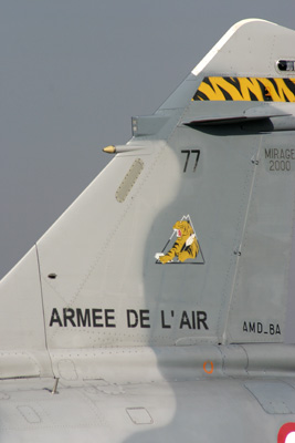 Tiger tail art on teh French Mirage 2000
