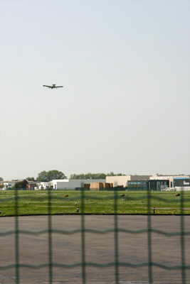 Robin in takeoff