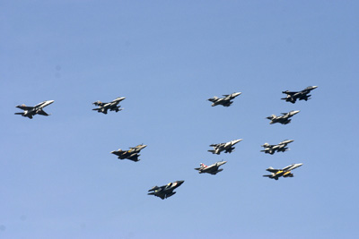 Flock of Tigercraft