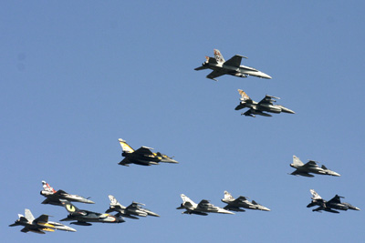Flock of Tigercraft - backview